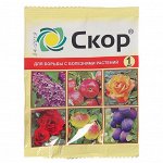 СКОР 1мл  Мучнистая роса, пятнистости