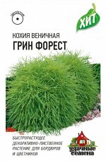 Цветы Кохия Грин Форест ЦВ/П (ГАВРИШ) однолетник до 1м