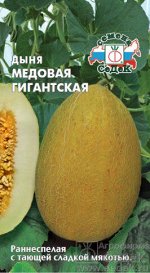 Дыня Медовая гигантская F1 ЦВ/П (СЕДЕК) раннеспелый