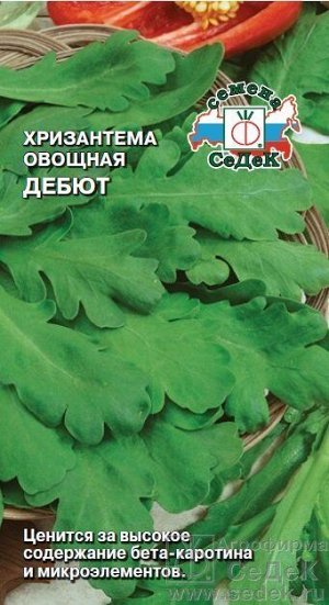 Пряность Хризантема овощная Дебют ЦВ/П (СЕДЕК) 0,5гр среднепоздний многолетник