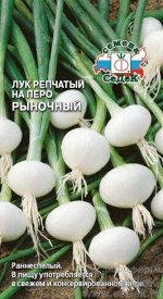ЛУК Рыночный на ПЕРО ЦВ/П (СЕДЕК) раннеспелый, полуострый
