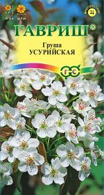 Груша Уссурийская ЦВ/П (ГАВРИШ) 0,3гр дерево 10-15м