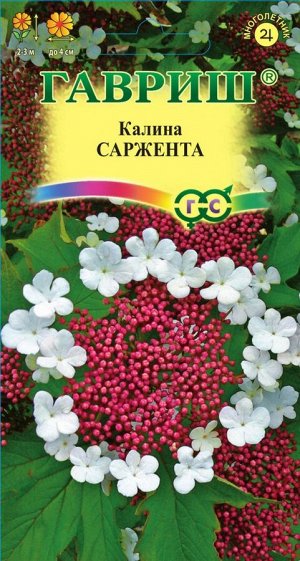 Калина Саржента ЦВ/П (ГАВРИШ) 0,5гр кустарник 2-3м