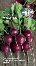Редис Мулатка ЦВ/П (СЕДЕК) среднеранний фиолетовый круглый