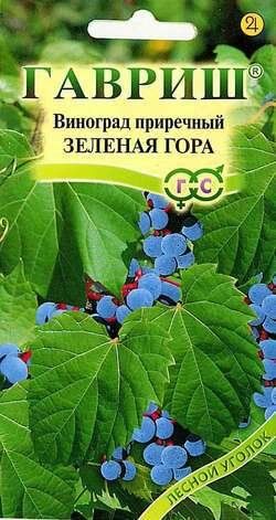 Виноград приречный Зеленая гора ЦВ/П (ГАВРИШ) 5шт лиана до 25м