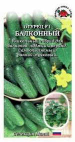Огурец Балконный F1 ЦВ/П (Сотка) 5шт партенокарпический пучковый корнишон