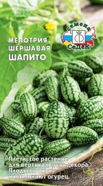 Арбуз Мелотрия шершавая Шапито ЦВ/П (СЕДЕК) 0,05гр однолетник лиана до 3м