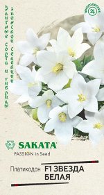 Цветы Платикодон Звезда Белая F1 ЦВ/П (ГАВРИШ) 4шт многолетник 25см