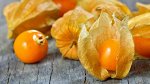 Физалис свежий (Колумбия)