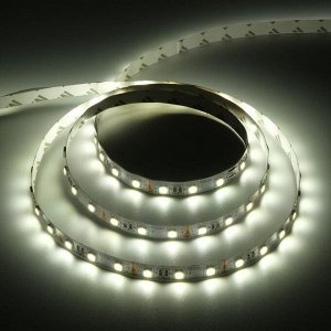 Светодиодная лента Ecola PRO 3 м, IP20, SMD5050, 60 LED/м, 14.4 Вт/м, 12 В, 4200К