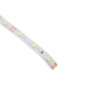 Светодиодная лента Ecola STD 5 м, IP20, SMD3528, 60 LED/м, 4.8 Вт/м, 12 В, 6000К