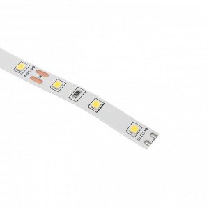 Светодиодная лента Ecola PRO 5 м, IP20, SMD5060, 60 LED/м, 11 Вт/м, 12 В, 4200К