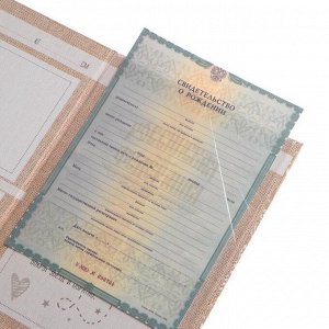 Папка для свидетельства о рождении «Мои первые документы», под новый формат, 32 х 22,3 см