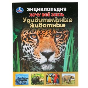 978-5-506-04956-2 "УМКА". УДИВИТЕЛЬНЫЕ ЖИВОТНЫЕ. ХОЧУ ВСЕ ЗНАТЬ. ЭНЦИКЛОПЕДИЯ А5. 165Х215ММ, 96 СТР. в кор.22шт