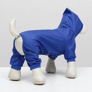 Комбинезон для животных, без подклада, XL, ДС 32-34, ОШ 32, ОГ 46-48 см, синий