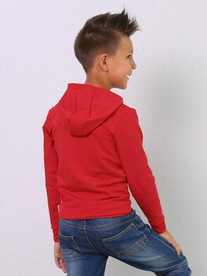 Джемпер Джемпер с капюшоном из тонкого мягкого трикотажа из футера красного цвета для мальчика. Очень популярная модель. Ее можно носить практически везде, где есть дети и игры. Изделие выполнено из т