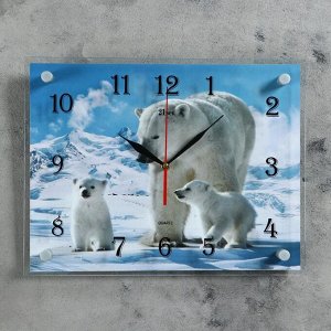 Часы настенные, серия: Животный мир, "Белые медведи", 30х40  см, микс