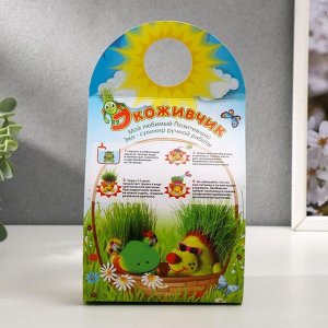Набор для выращивания «ЭкоЖивчик. Домовой», фигурка растущая в подарочной упаковке