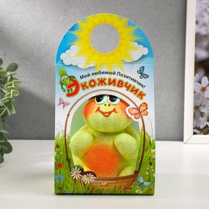 Набор для выращивания «ЭкоЖивчик. Черепашка», фигурка растущая в подарочной упаковке