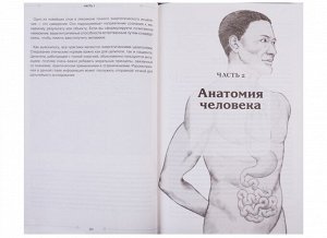 Дэйл С. Тонкое тело: Полная энциклопедия биоэнергетической медицины (новое оформление)