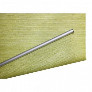 Рулонная штора «Концепт», 100 х 175 см, цвет зелёный