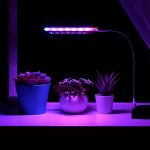 Лампы для растений
