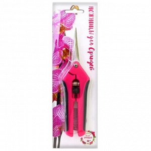 Ножницы садовые, для орхидей, 6.5" (16.5 см), пластиковые ручки, цвет МИКС
