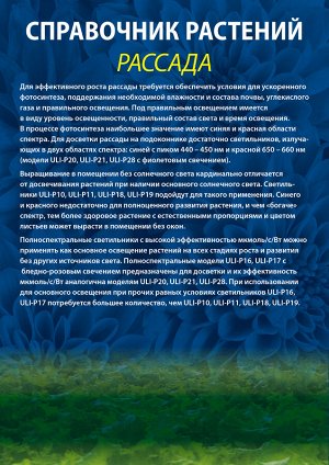 Полезная информация о фитолампах (не товар)