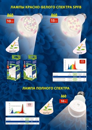 Полезная информация о фитолампах (не товар)