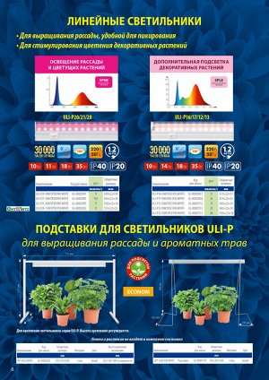 Полезная информация о фитолампах (не товар)