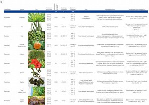 Полезная информация о фитолампах (не товар)