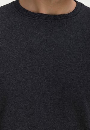 Свитшот мужской GREG G121-OZ02-30 (антрацит м.)