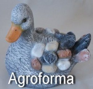 Утка под камень АФ