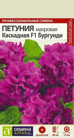 Петуния махр Бургунди Каскадная F1 темно-вишневая, 40см, однол 10шт СА/ЦВ