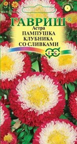 Астра Пампушка Клубника со Сливками помп, махр, красная с белым центром, 50см 0,3гр Гавриш/ЦВ