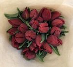 Тюльпан красный Strong red