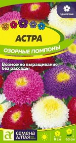Астра Озорные Помпоны/Сем Алт/цп 0,3 гр.