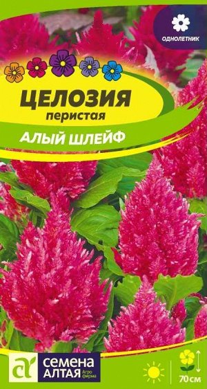 Цветы Целозия перистая Алый шлейф/Сем Алт/цп 0,2 гр.