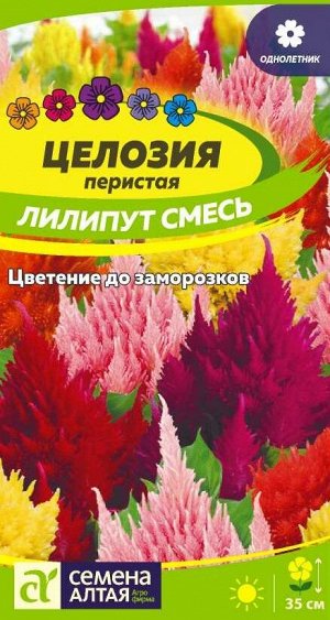 Целозия Лилипут смесь Перистая/Сем Алт/цп 0,1 гр.