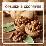 Орешки в скорлупе. Миндаль, грецкий орех, фундук, кешью