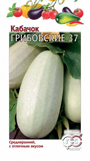 Кабачок Грибовский 37 среднеранний, светло-зеленый, куст 2гр Гавриш/БП 1/20