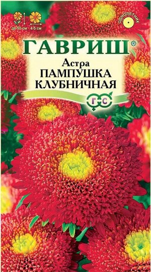 Астра Пампушка Клубничная помп, махр, красная, 50см 0,3гр Гавриш/ЦВ