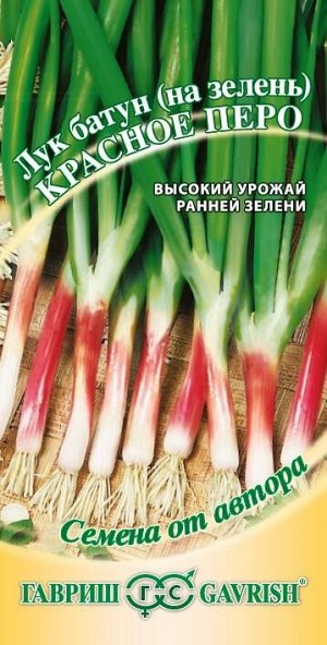 С Лук на зелень Красное Перо раннеспелый 0,5гр Гавриш/БП