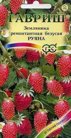 Земляника Руяна ремонтантная, не образует усов 0,03гр Гавриш/ЦВ 1/10