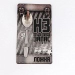 Ложка подарочная на открытке «Для настоящего мужчины», 3 х 14 см