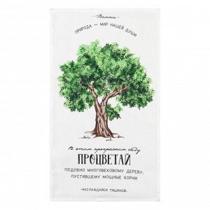 Полотенце кухонное Доляна «Процветай», 35х60 см, 100% хлопок, 160г/м2