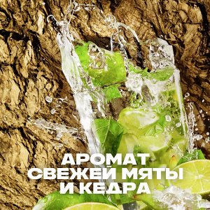 AXE мужской дезодорант спрей, BLACK NIGHT, Свежая мята и кедр, 48 часов защиты 150 мл