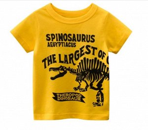 Футболка детская, принт "Динозавр", надписи, цвет желтый