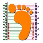 Как мерить ногу и где мерить обувь