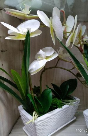 Орхидея Прекрасные композиции из искусственных орхидей.
Украсят любое пространство, как личное, так и рабочее.
Точно «приживутся» и в ванной комнате, и на кухне. Будут цвести всегда. 
Не отличить от ж